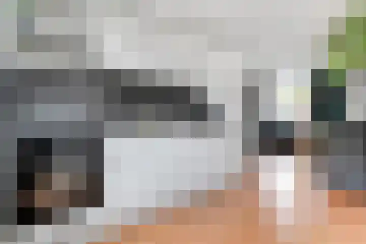 Van Blanckvoortmarke 12 Zwolle thumbnail 13