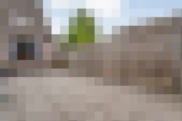 Van Blanckvoortmarke 12 Zwolle thumbnail 29