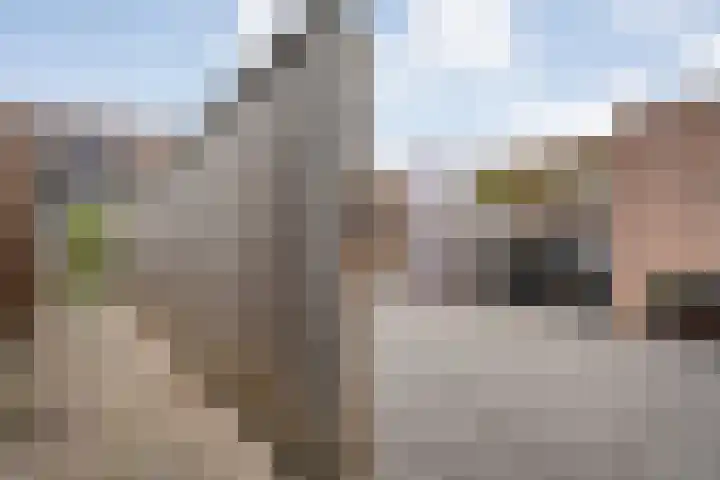 Van Blanckvoortmarke 12 Zwolle thumbnail 30