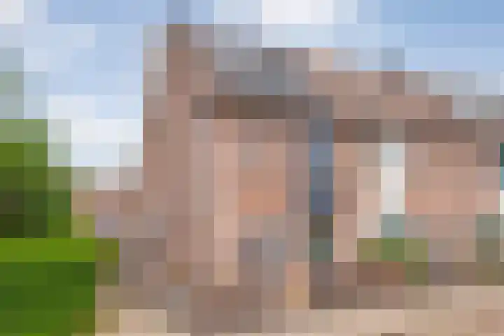 Van Blanckvoortmarke 12 Zwolle thumbnail 31