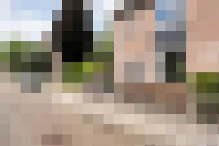 Van Blanckvoortmarke 12 Zwolle thumbnail 32