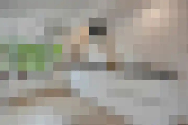Van Blanckvoortmarke 73 Zwolle thumbnail 11