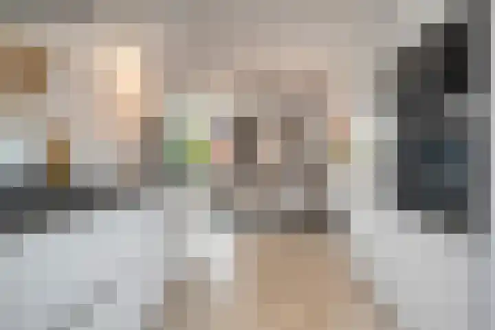 Van Blanckvoortmarke 73 Zwolle thumbnail 12