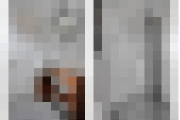 Van Blanckvoortmarke 73 Zwolle thumbnail 22