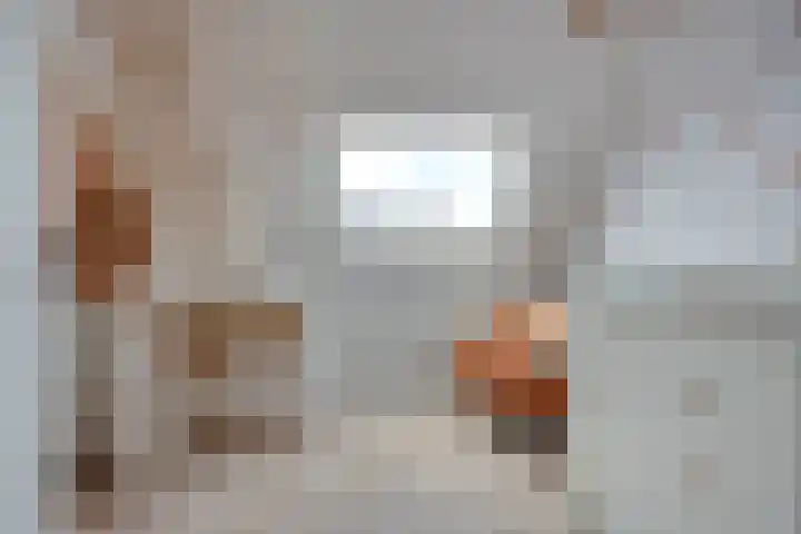 Van Blanckvoortmarke 73 Zwolle thumbnail 23
