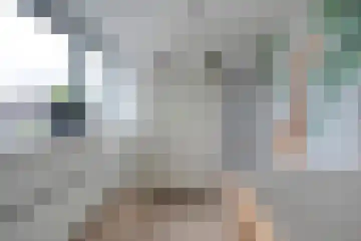 Van Blanckvoortmarke 73 Zwolle thumbnail 28
