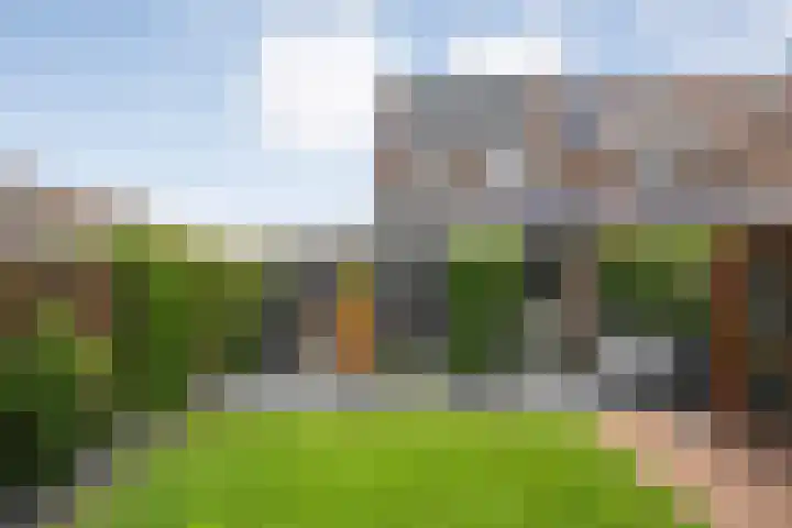 Van Blanckvoortmarke 73 Zwolle thumbnail 31