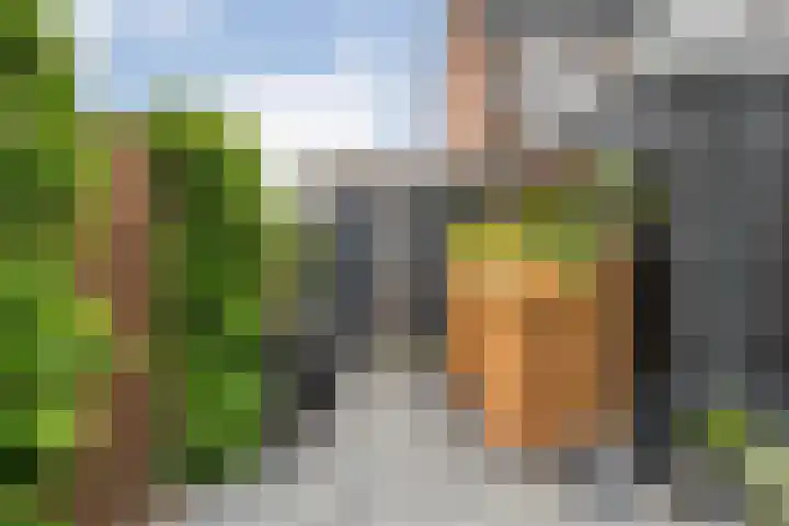 Van Blanckvoortmarke 73 Zwolle thumbnail 32