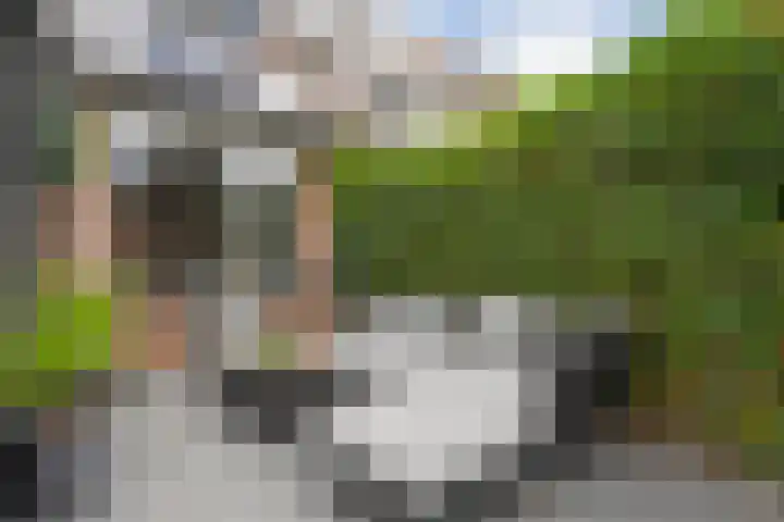 Van Blanckvoortmarke 73 Zwolle thumbnail 33
