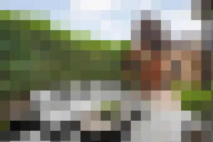 Van Blanckvoortmarke 73 Zwolle thumbnail 34