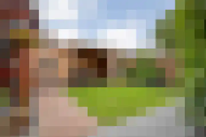 Van Blanckvoortmarke 73 Zwolle thumbnail 35
