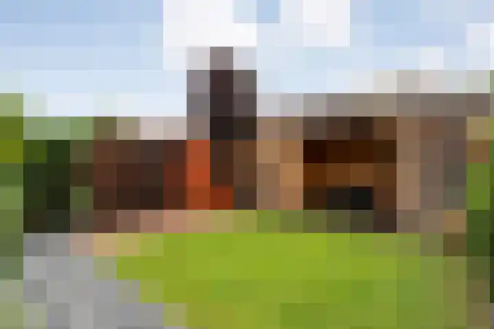 Van Blanckvoortmarke 73 Zwolle thumbnail 36