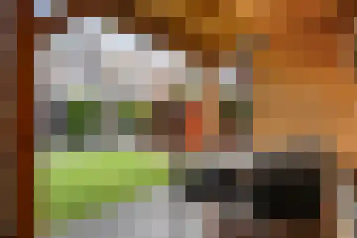 Van Blanckvoortmarke 73 Zwolle thumbnail 37
