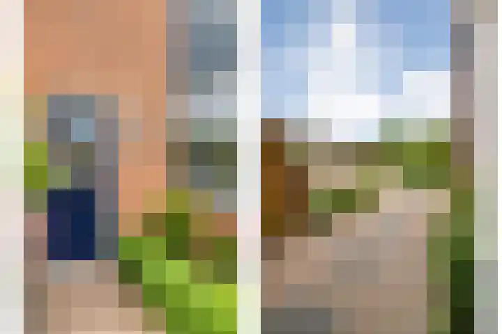 Van Blanckvoortmarke 73 Zwolle thumbnail 4