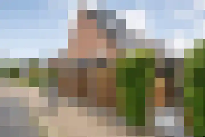 Van Blanckvoortmarke 73 Zwolle thumbnail 40