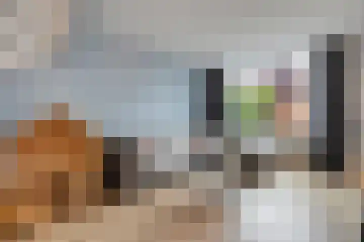 Van Blanckvoortmarke 73 Zwolle thumbnail 5