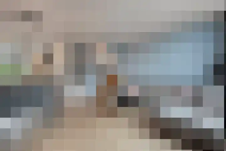 Van Blanckvoortmarke 73 Zwolle thumbnail 6