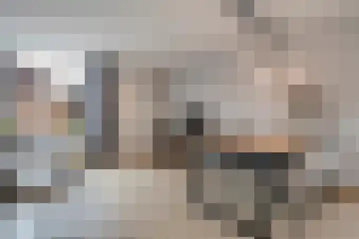 Van Blanckvoortmarke 73 Zwolle thumbnail 7