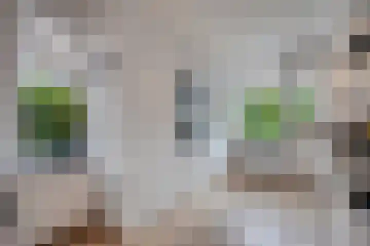 Van Blanckvoortmarke 73 Zwolle thumbnail 9
