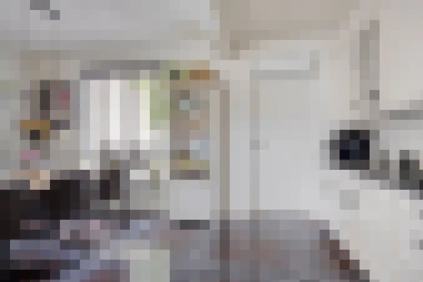 van Blankenburgstraat 13 Eindhoven thumbnail 19