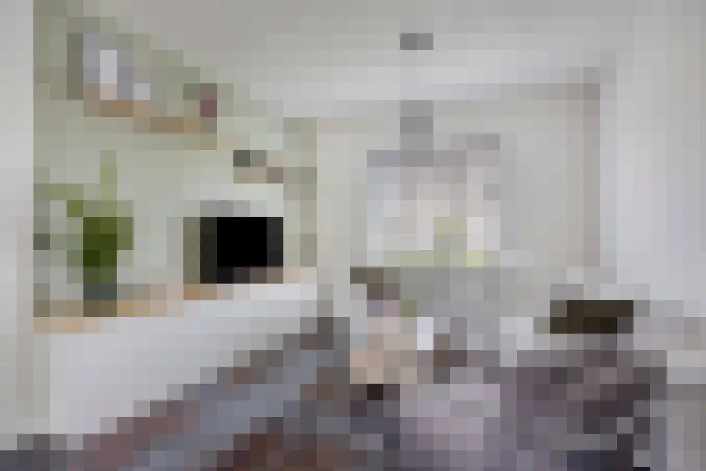 van Blankenburgstraat 13 Eindhoven thumbnail 21