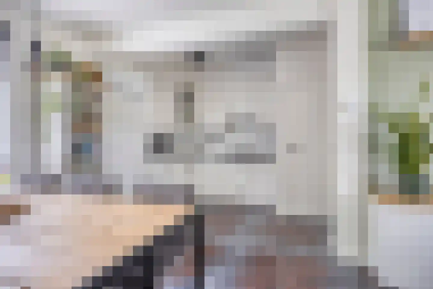 van Blankenburgstraat 13 Eindhoven thumbnail 22