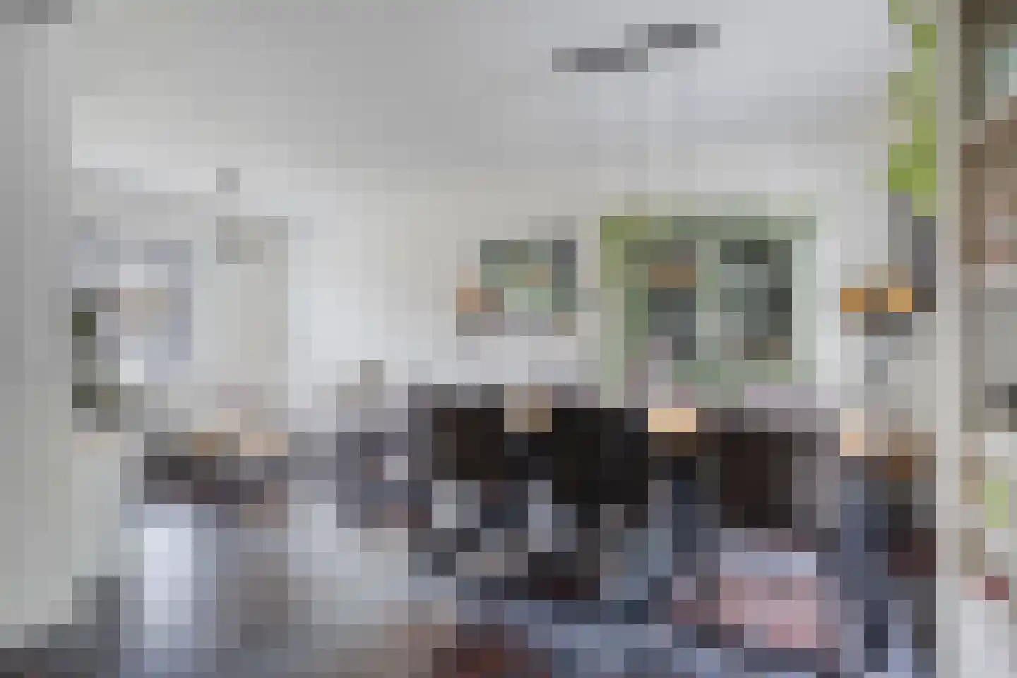 van Blankenburgstraat 13 Eindhoven thumbnail 24
