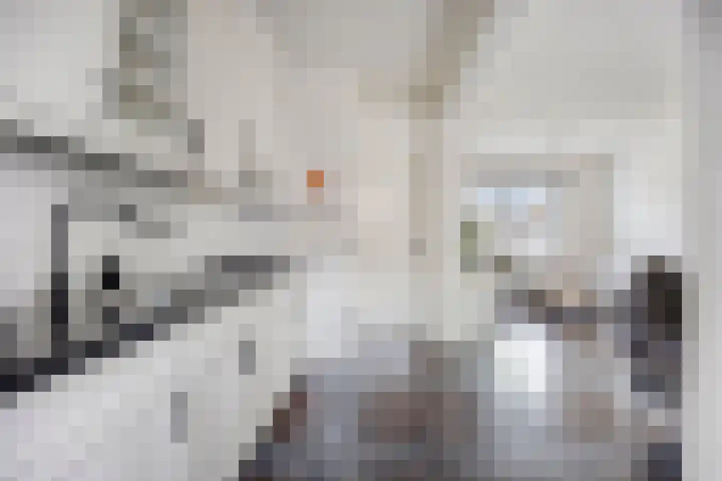 van Blankenburgstraat 13 Eindhoven thumbnail 28