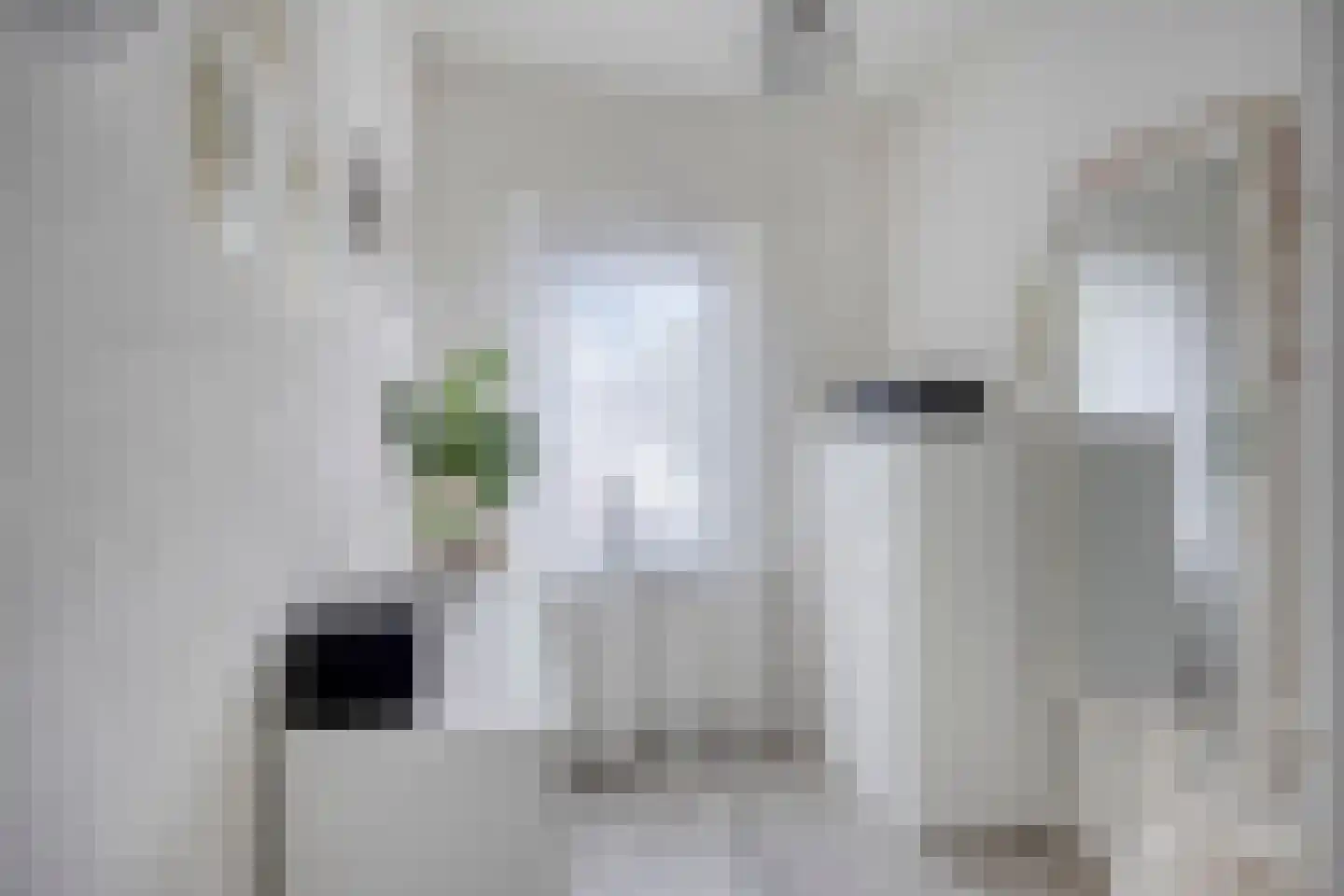 van Blankenburgstraat 13 Eindhoven thumbnail 41