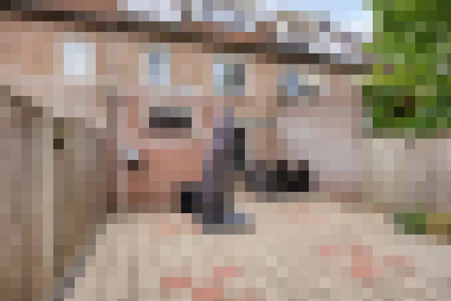 van Blankenburgstraat 13 Eindhoven thumbnail 5