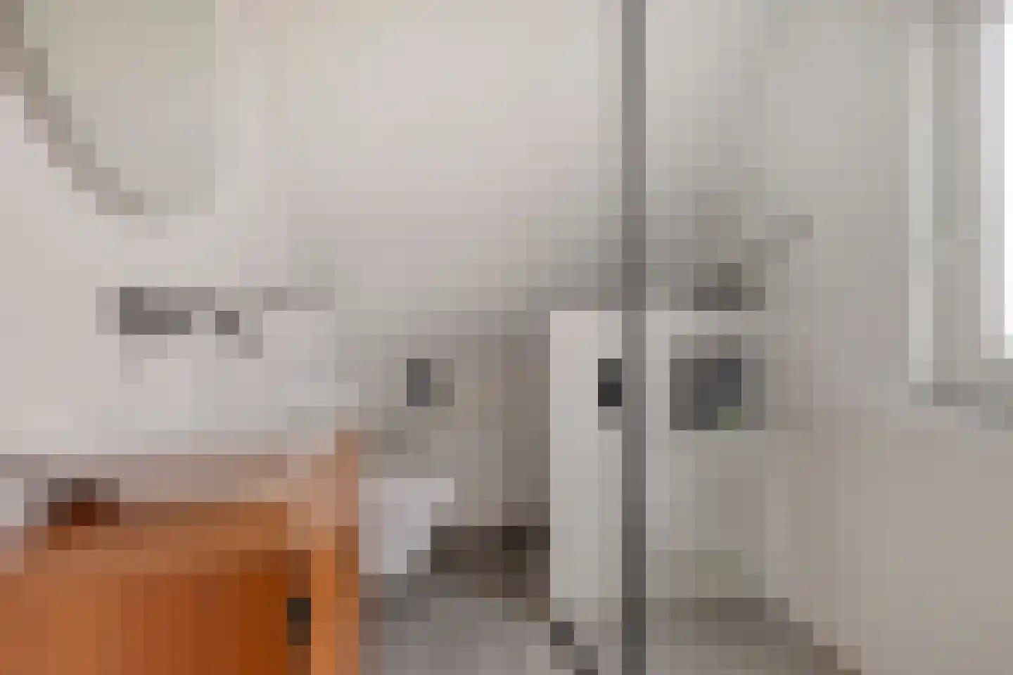 Van Blankenburgstraat 4 Arnhem thumbnail 41