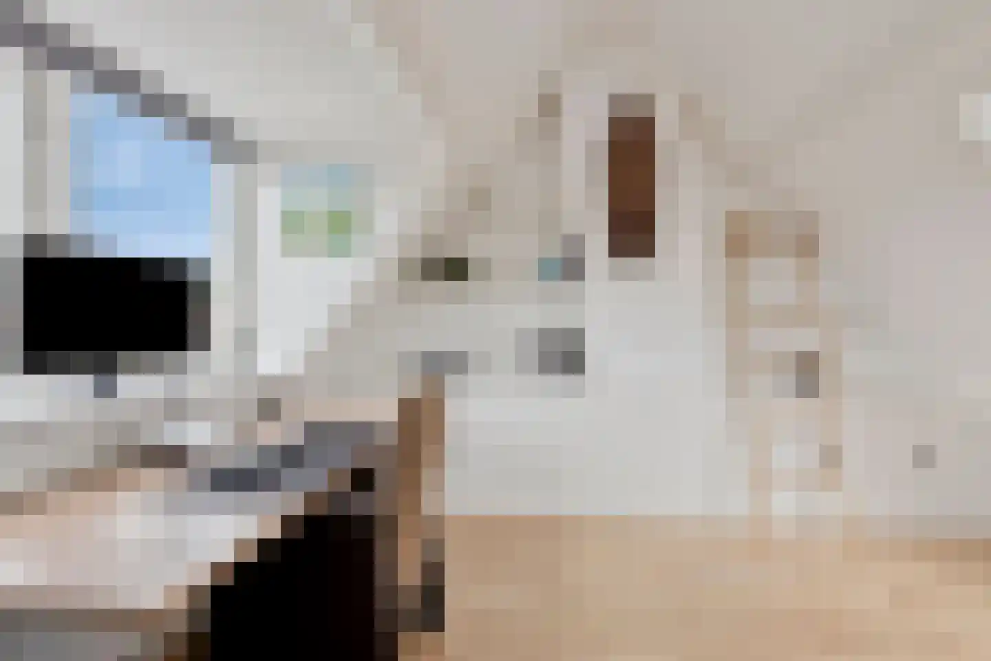 Van Blankenburgstraat 4 Arnhem thumbnail 54