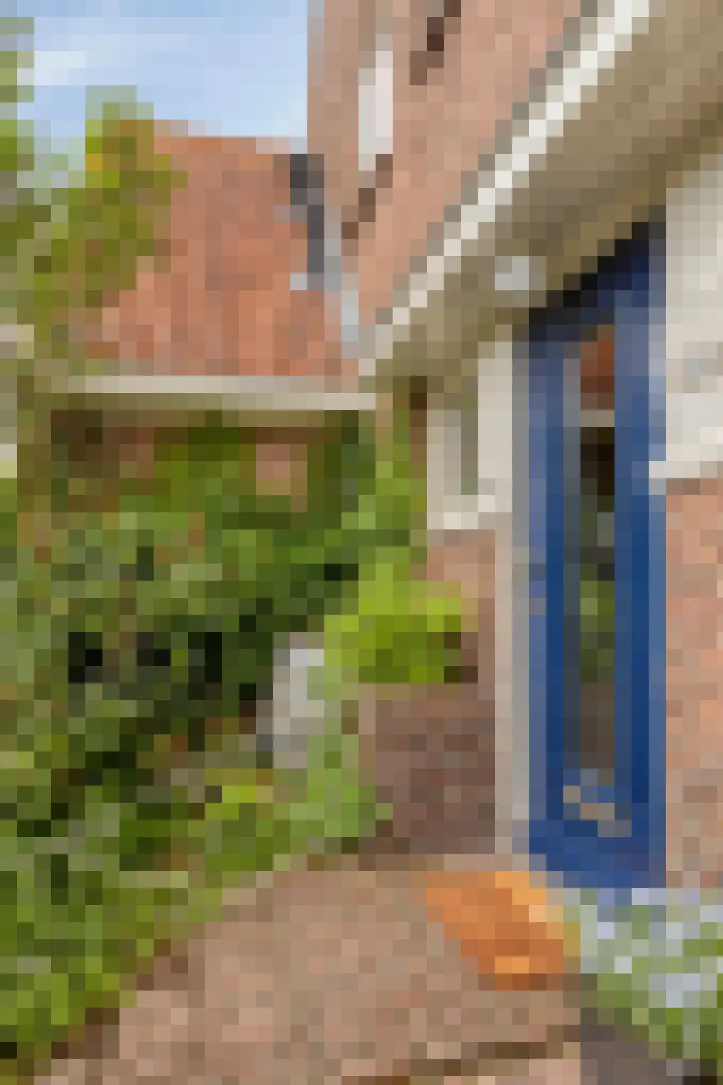 Van Blankenburgstraat 4 Arnhem thumbnail 59