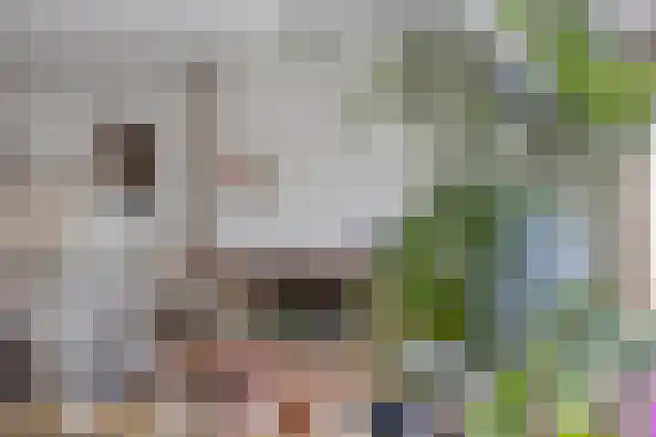Van Blankenheimlaan 8 Zwolle thumbnail 13