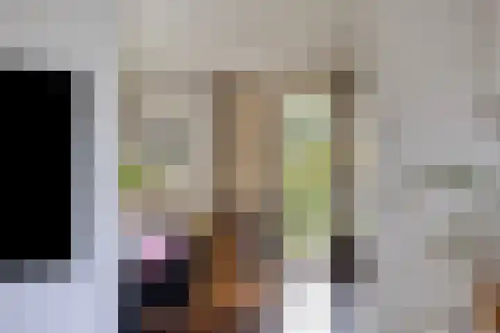 Van Blankenheimlaan 8 Zwolle thumbnail 14