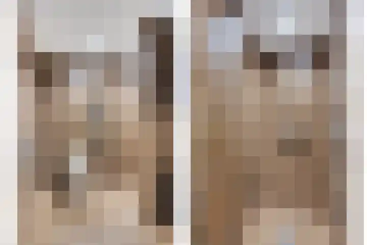 Van Blankenheimlaan 8 Zwolle thumbnail 20