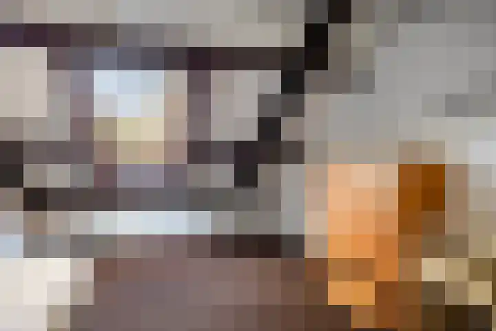 Van Blankenheimlaan 8 Zwolle thumbnail 30