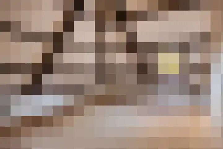 Van Blankenheimlaan 8 Zwolle thumbnail 32