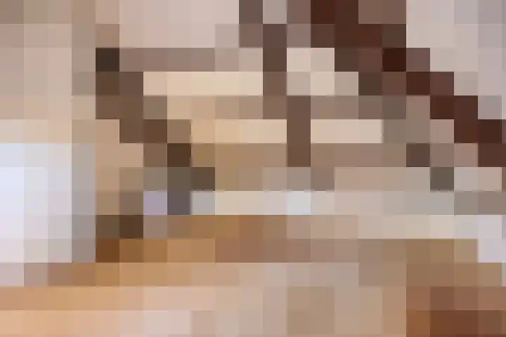 Van Blankenheimlaan 8 Zwolle thumbnail 33