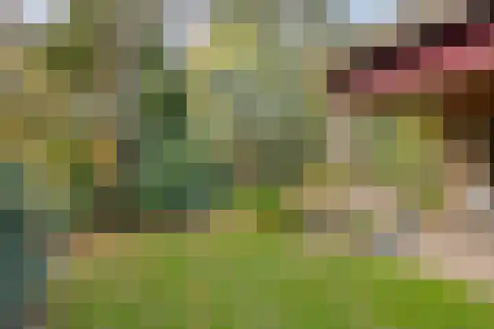Van Blankenheimlaan 8 Zwolle thumbnail 39