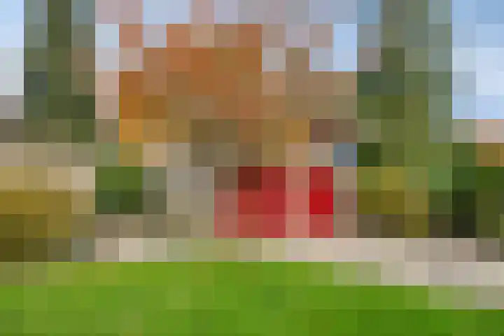 Van Blankenheimlaan 8 Zwolle thumbnail 4