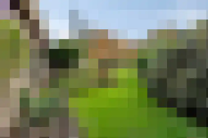 Van Blankenheimlaan 8 Zwolle thumbnail 40