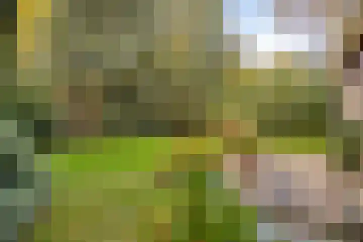 Van Blankenheimlaan 8 Zwolle thumbnail 41