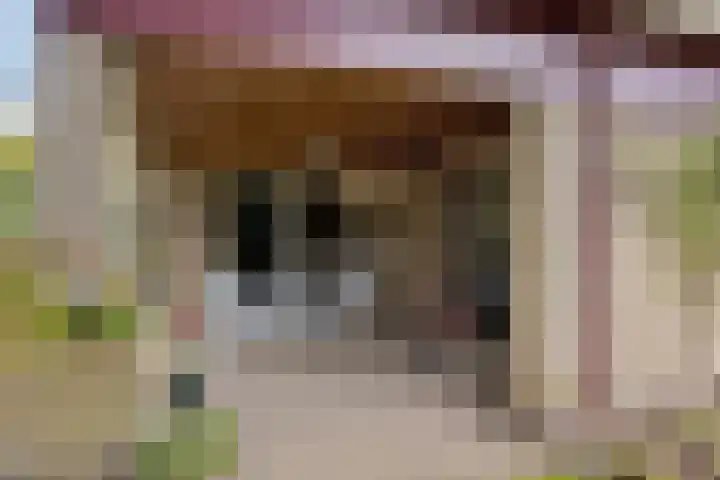 Van Blankenheimlaan 8 Zwolle thumbnail 43
