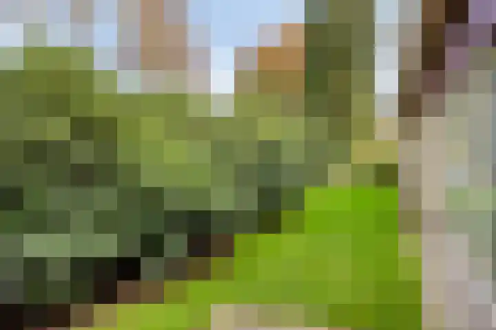 Van Blankenheimlaan 8 Zwolle thumbnail 47