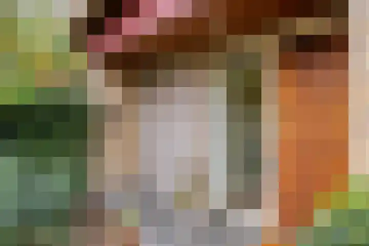 Van Blankenheimlaan 8 Zwolle thumbnail 5
