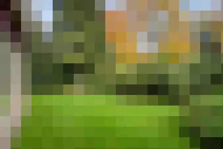 Van Blankenheimlaan 8 Zwolle thumbnail 51