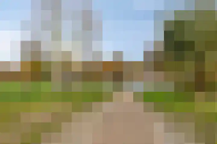 Van Blankenheimlaan 8 Zwolle thumbnail 56