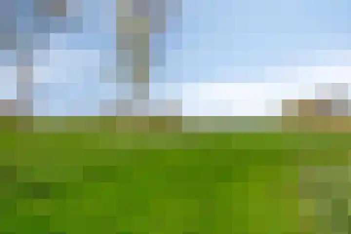 Van Blankenheimlaan 8 Zwolle thumbnail 57