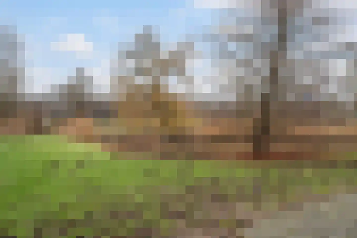 van Blankenheimstraat 146 Vlaardingen thumbnail 27